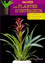 Les plantes d’intérieur