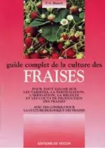 Guide complet de la culture des fraises