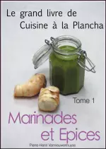 Le grand livre de la cuisine à la plancha : Tome 1