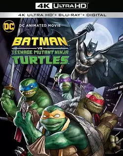 Batman vs. Teenage Mutant Ninja Turtles