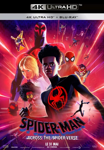 Spider-Man : Across The Spider-Verse